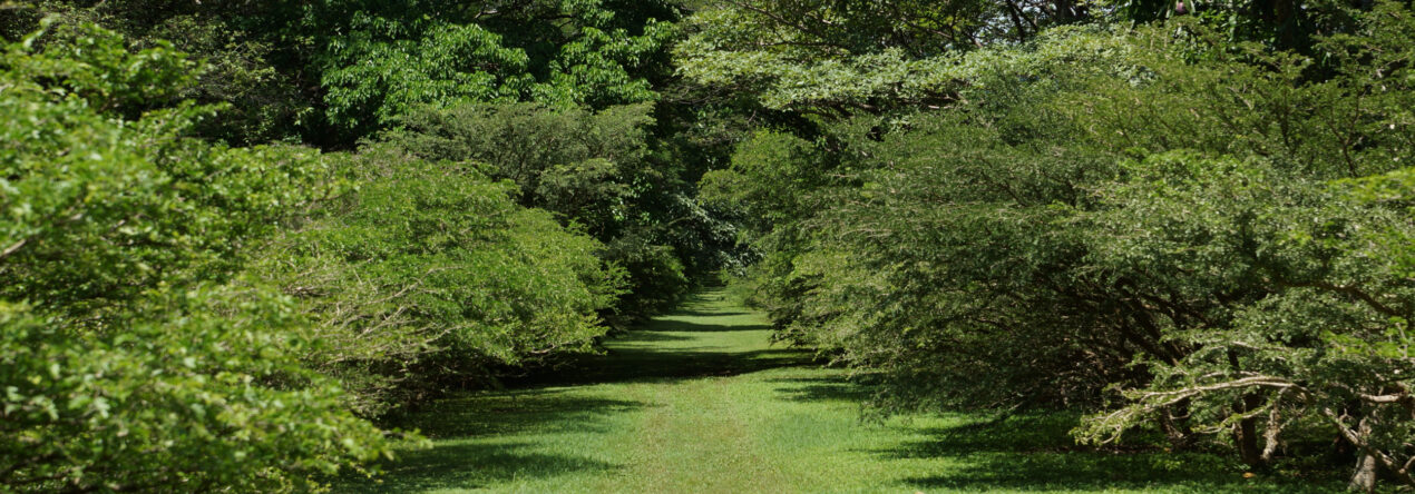 Padrino de un área de restauración ambiental